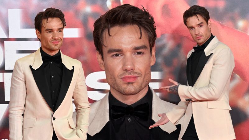 Liam Payne debuts shocking new chiselled look leading fans to believe he got plastic surgery 