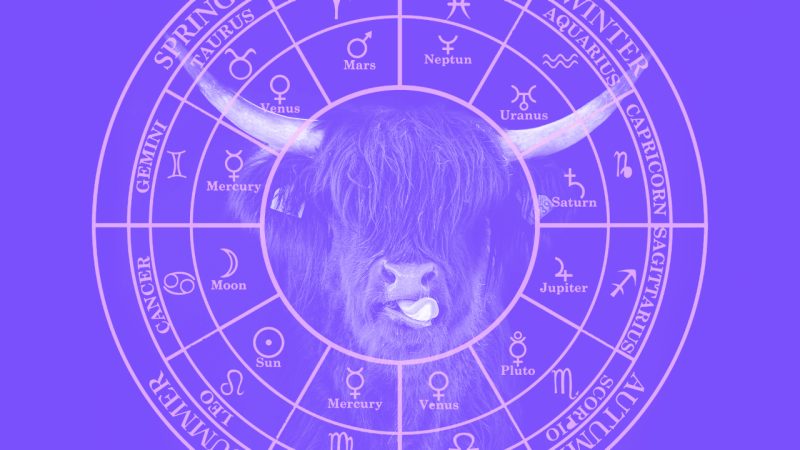 Everything you need to know about your zodiac this Taurus Season!