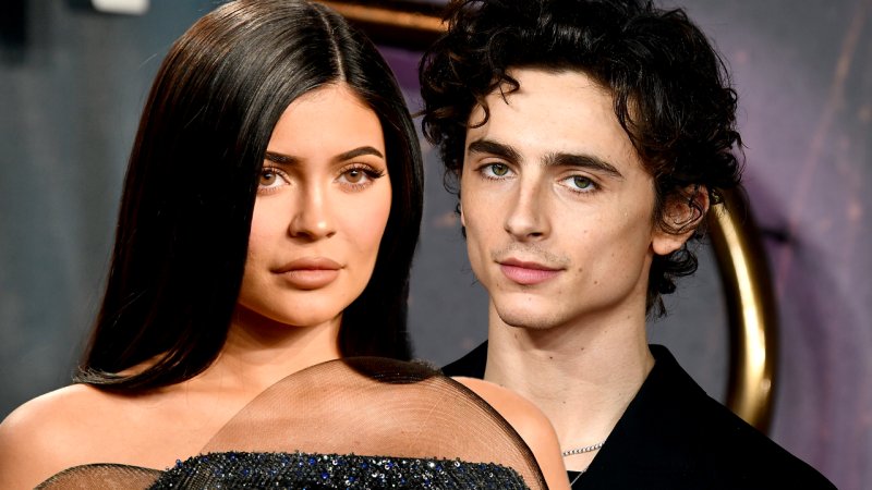 Shes Having A Lot Of Fun Kylie Jenner And Timothée Chalamet Confirmed To Be Dating