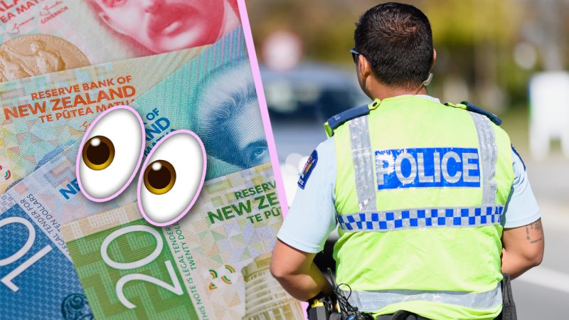 Kiwi couple finds HECTIC amount of drug money in roof, now battling with cops to keep it